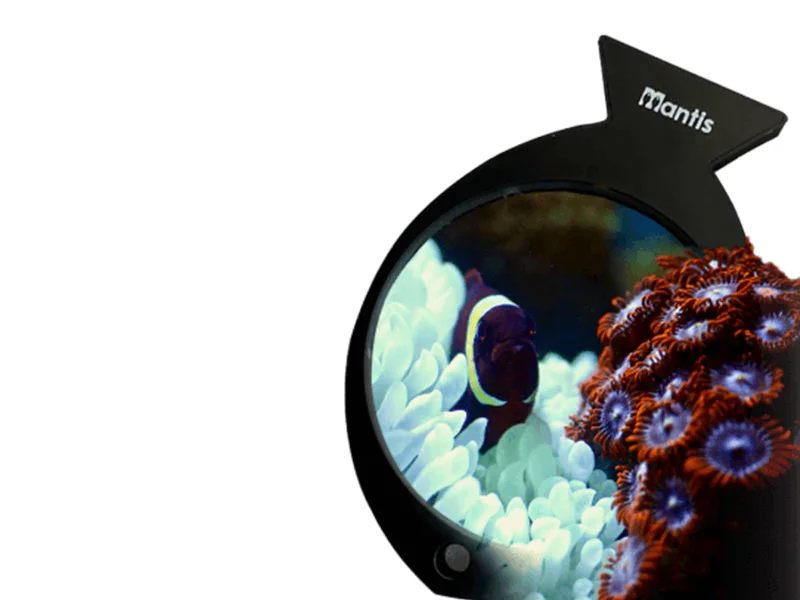 Aquarium Magnifier - Image 3