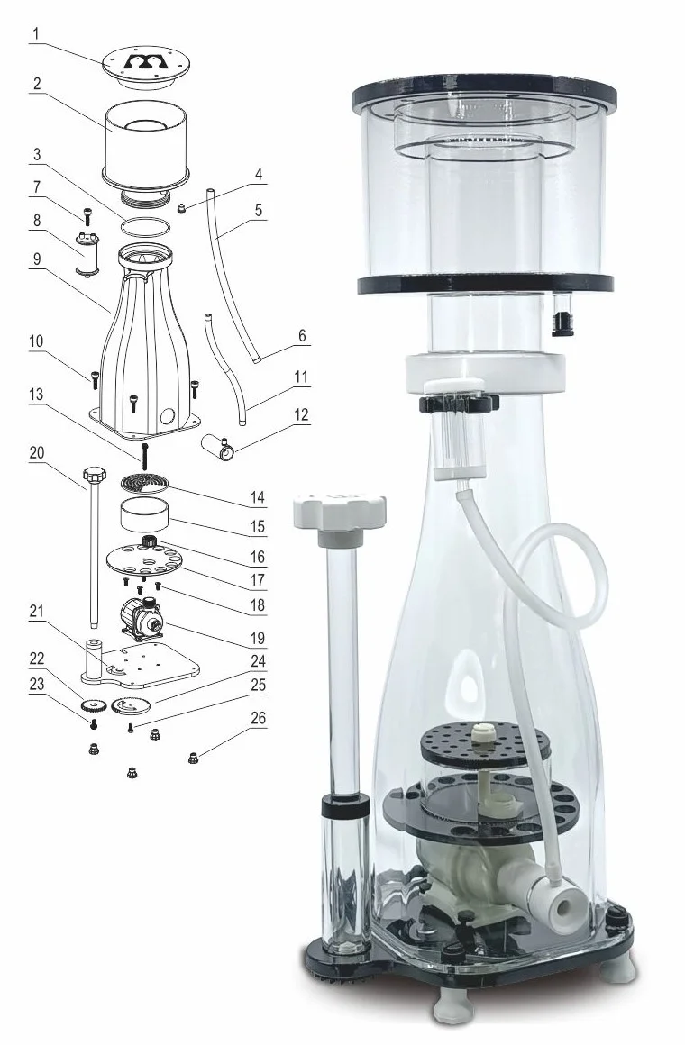 Tornado Skimmer | Mantis